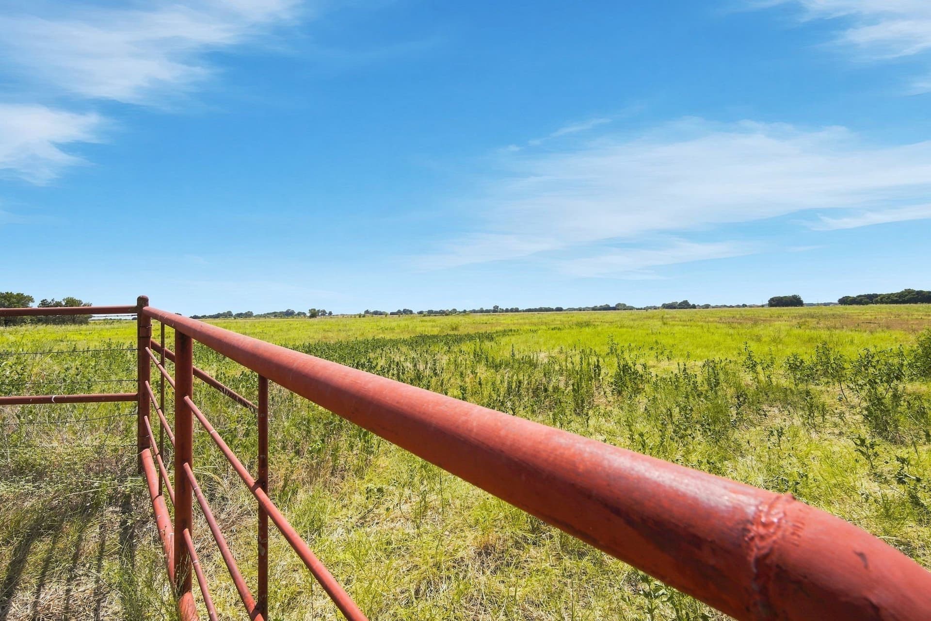 82.62 acres in Ellis County - photo 8