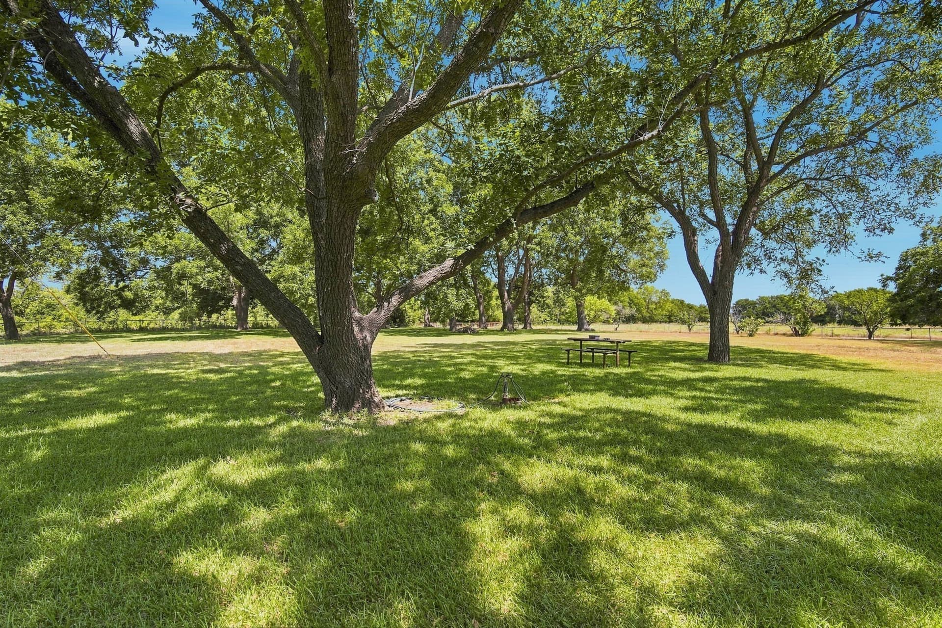 82.62 acres in Ellis County - photo 4