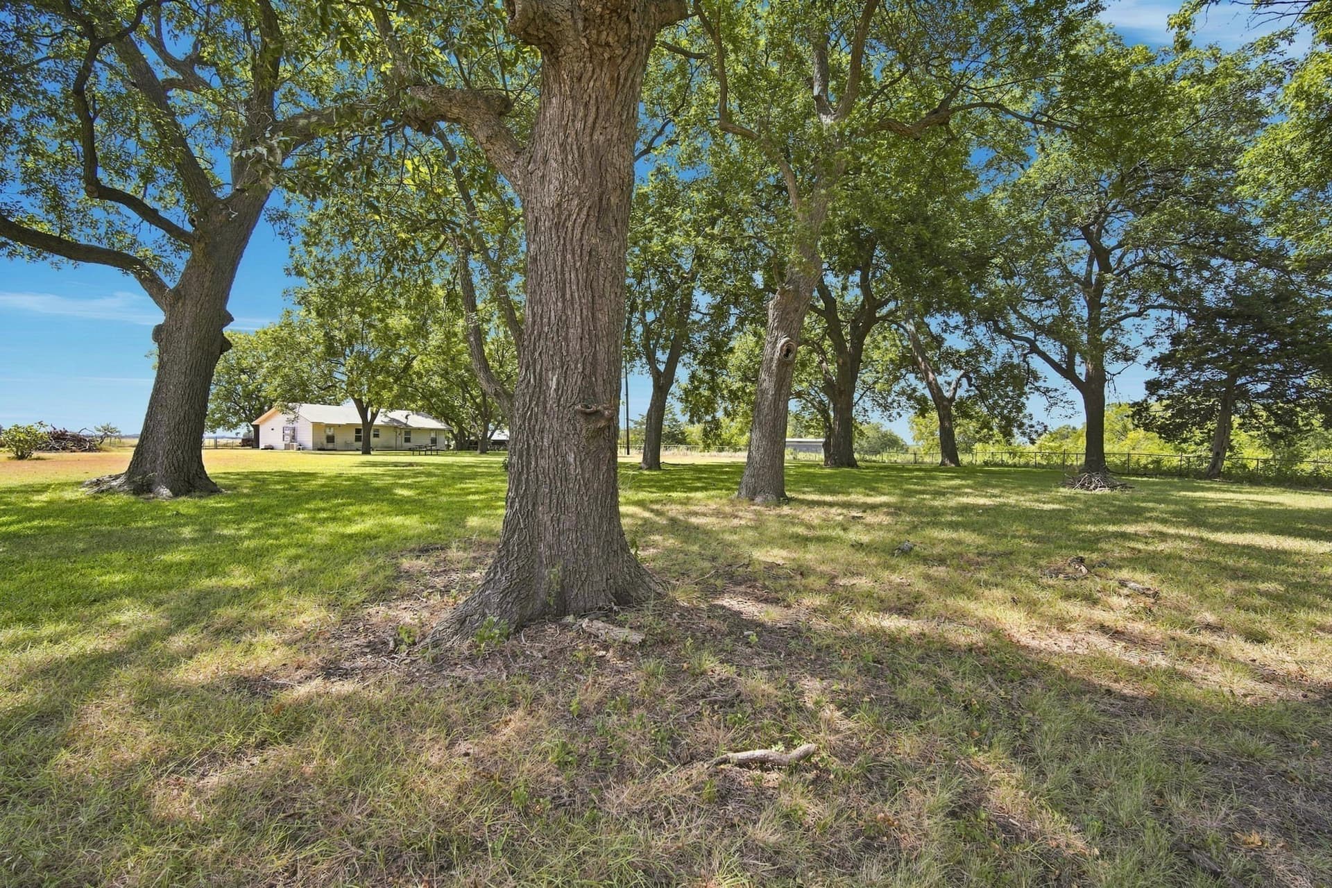 82.62 acres in Ellis County - photo 6