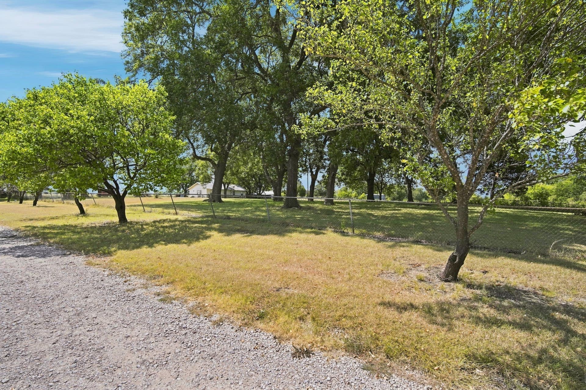 82.62 acres in Ellis County - photo 7