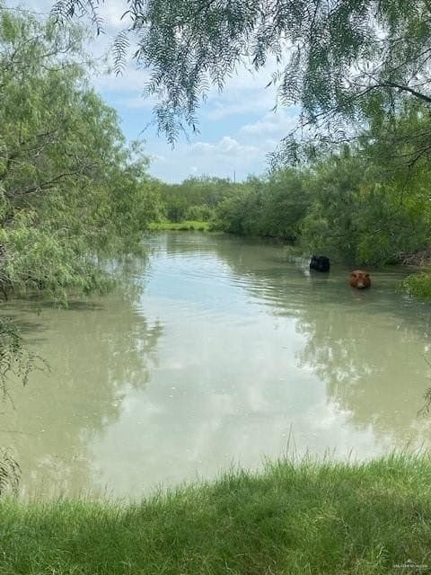 107 acres in Hidalgo County - photo 10