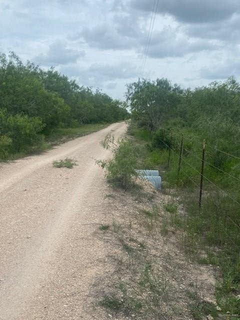 107 acres in Hidalgo County gallery image 3