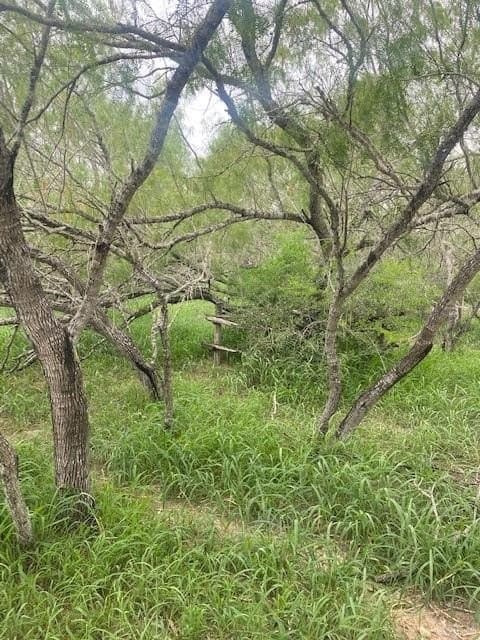 107 acres in Hidalgo County - photo 9