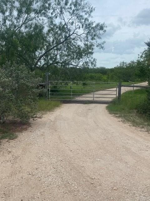 107 acres in Hidalgo County