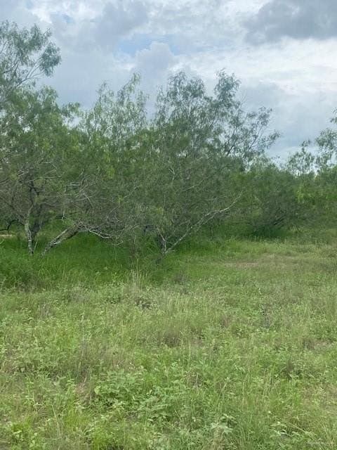 107 acres in Hidalgo County - photo 6