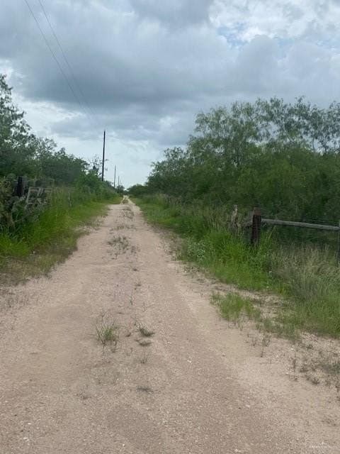 107 acres in Hidalgo County gallery image 2