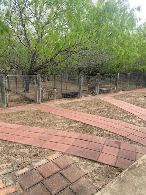 107 acres in Hidalgo County - photo 17