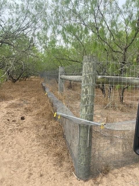 107 acres in Hidalgo County - photo 16