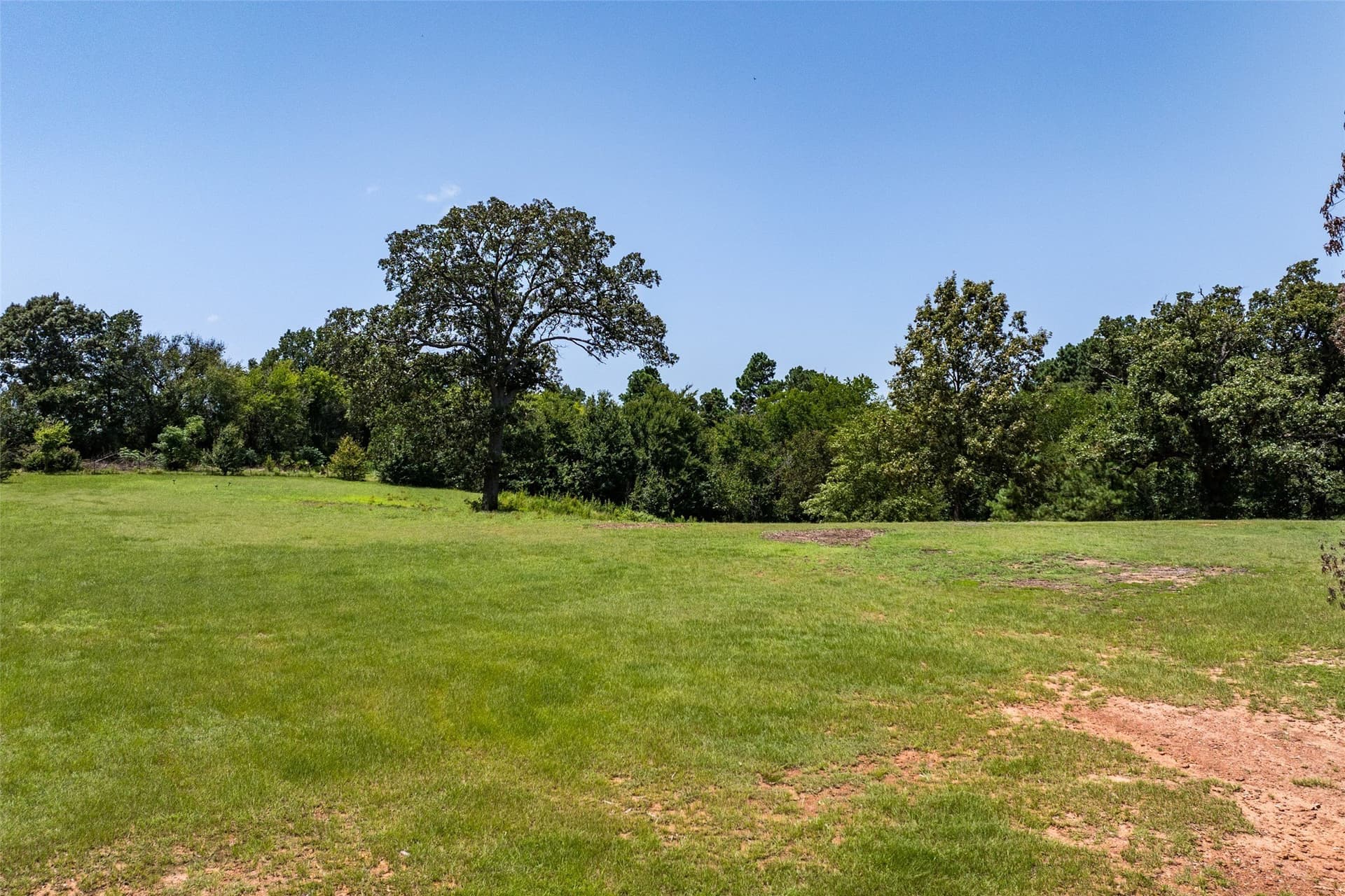 20.89 acres in Henderson County - photo 22