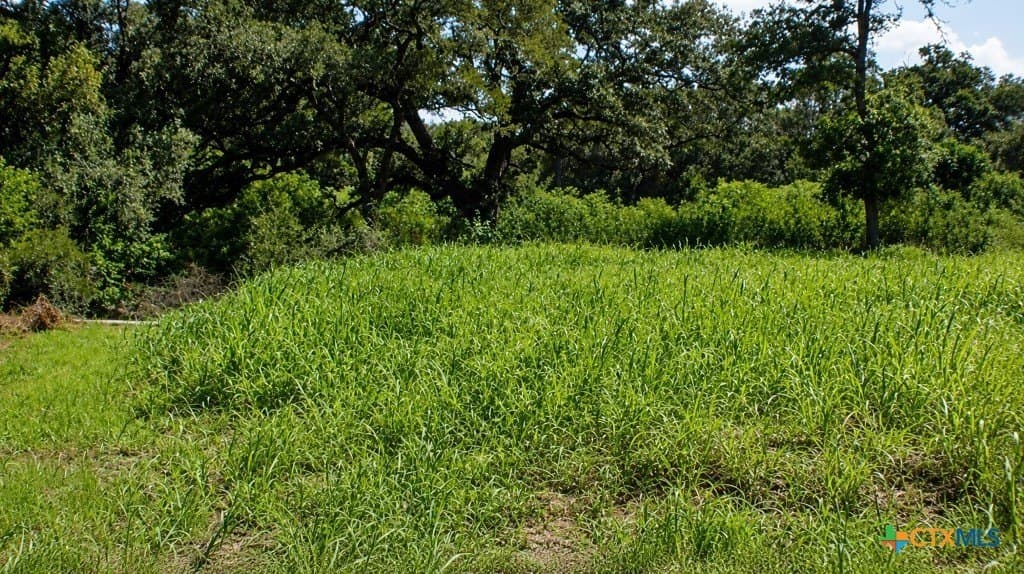 0.13 acres in Gonzales County featured view