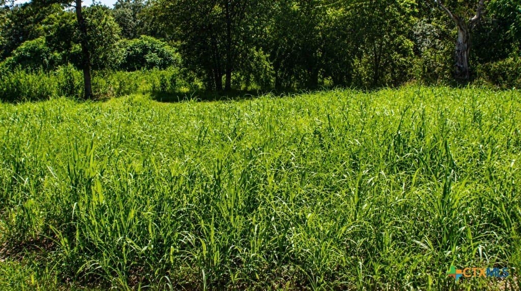 0.13 acres in Gonzales County gallery image 4