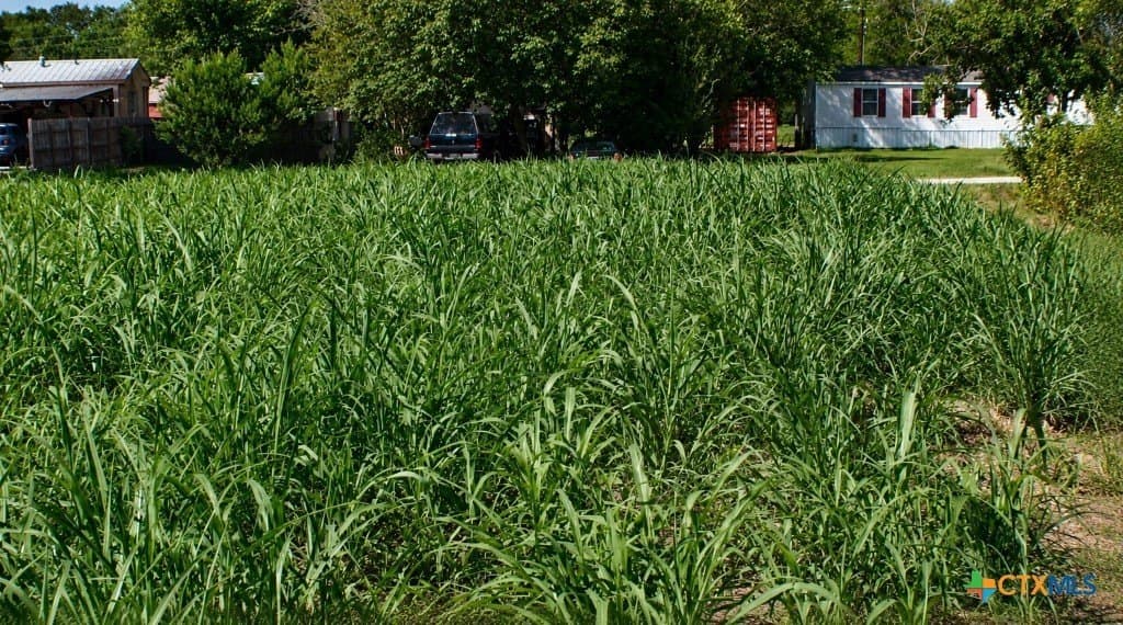 0.13 acres in Gonzales County gallery image 2