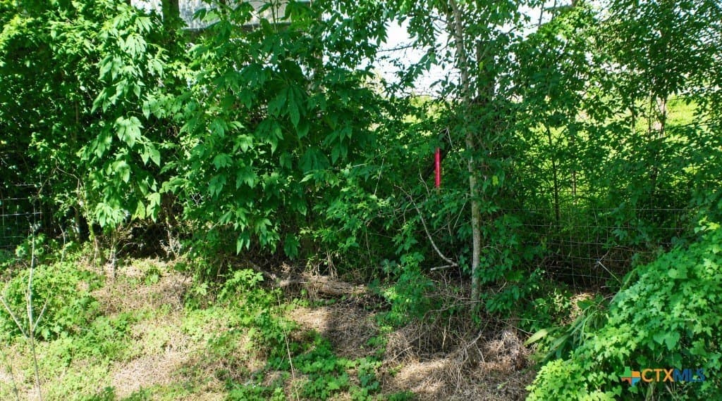 0.13 acres in Gonzales County - photo 7