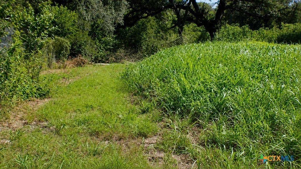 0.13 acres in Gonzales County gallery image 3