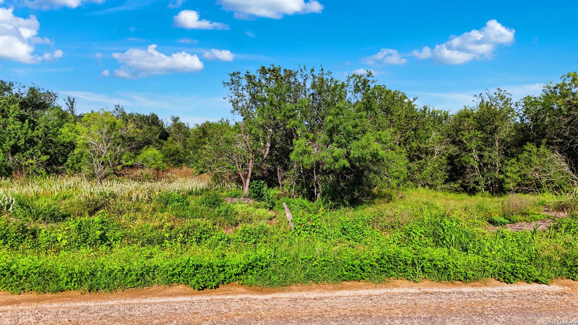 4.65 acres in Guadalupe County gallery image 2