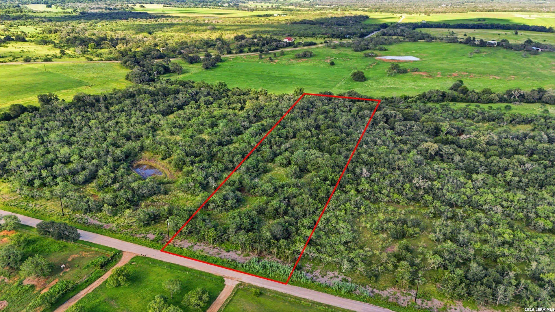 4.65 acres in Guadalupe County gallery image 3