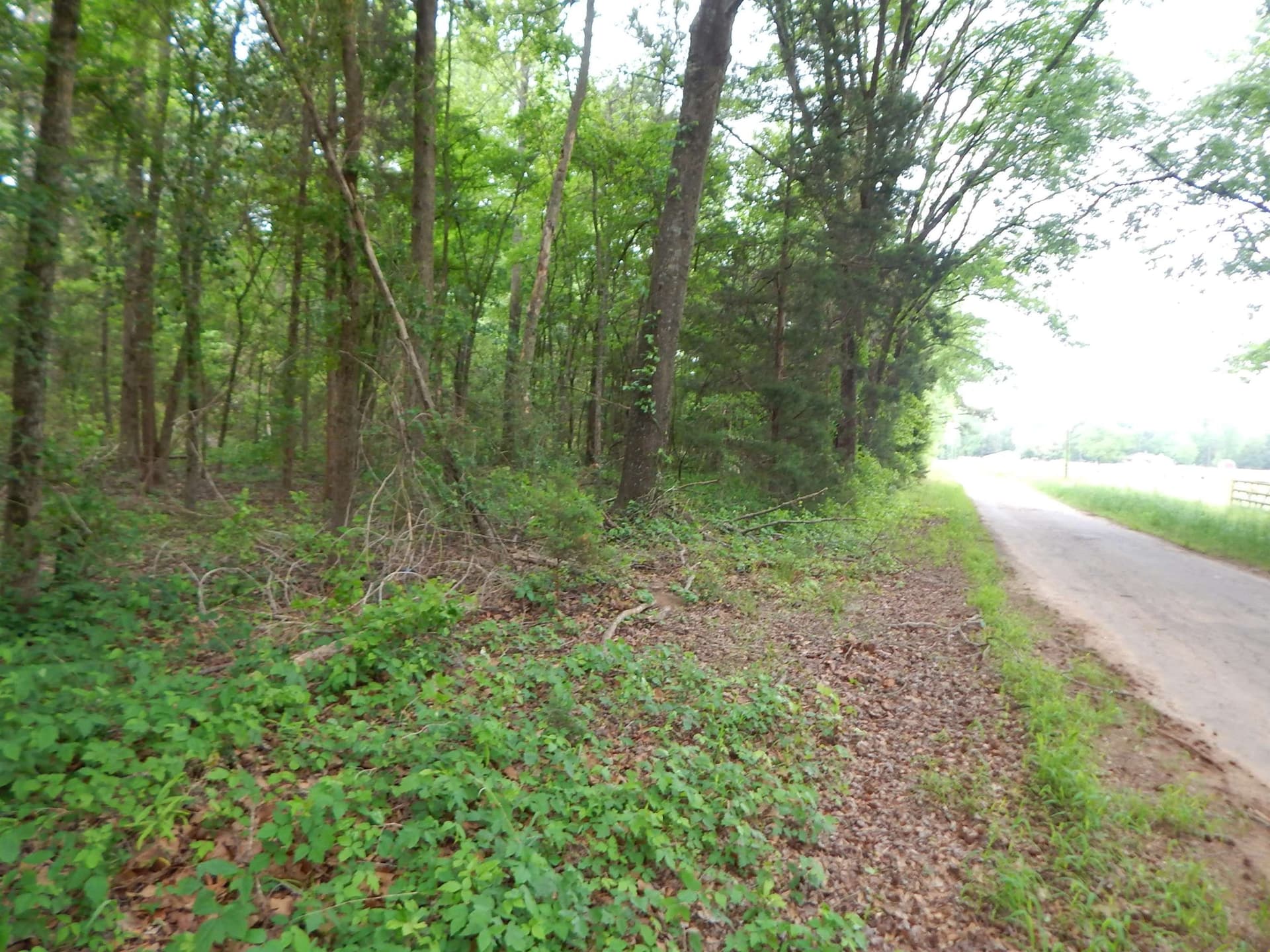 3.07 acres in Upshur County featured view