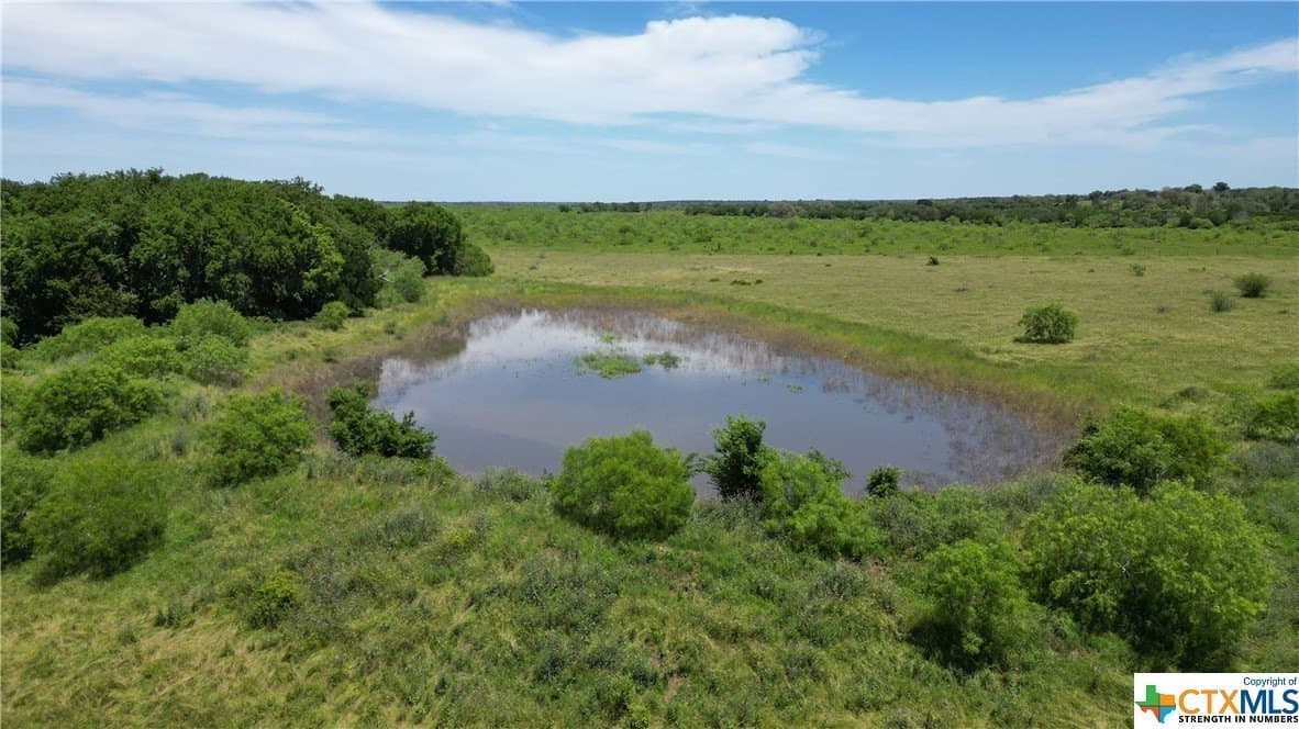 255 acres in Gonzales County gallery image 3