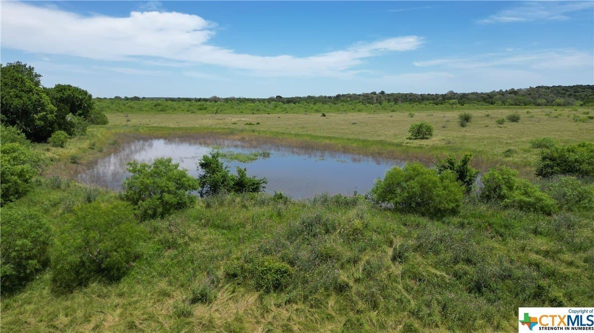 255 acres in Gonzales County gallery image 4