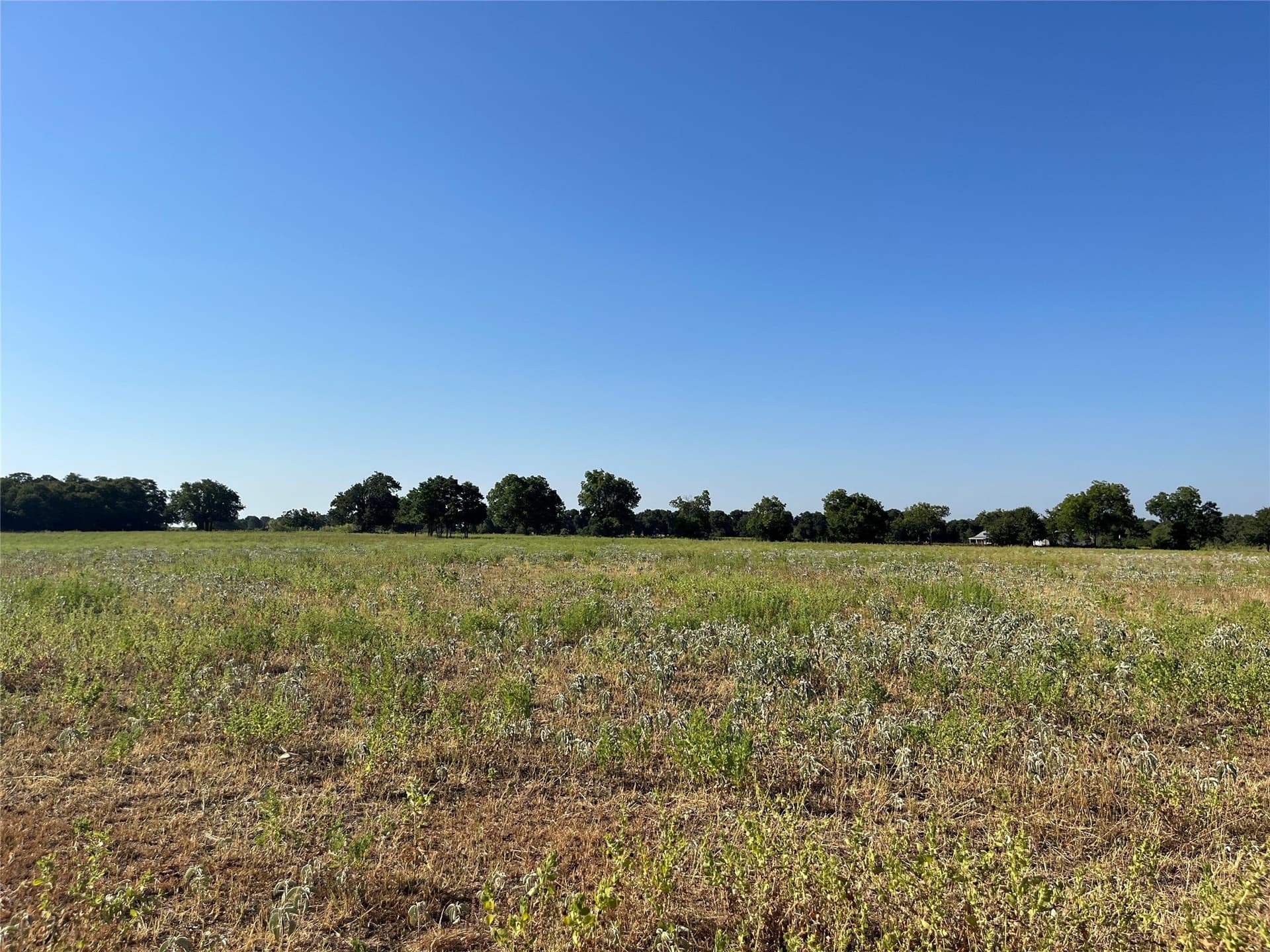 31.14 acres in Comanche County - photo 34