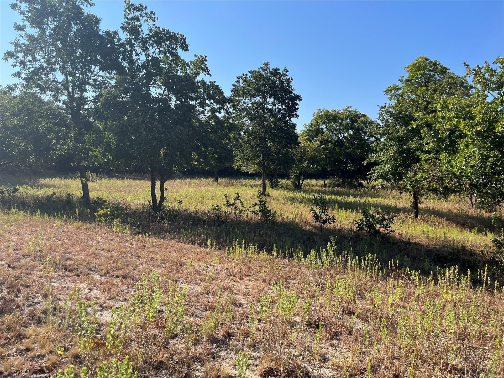 31.14 acres in Comanche County - photo 21