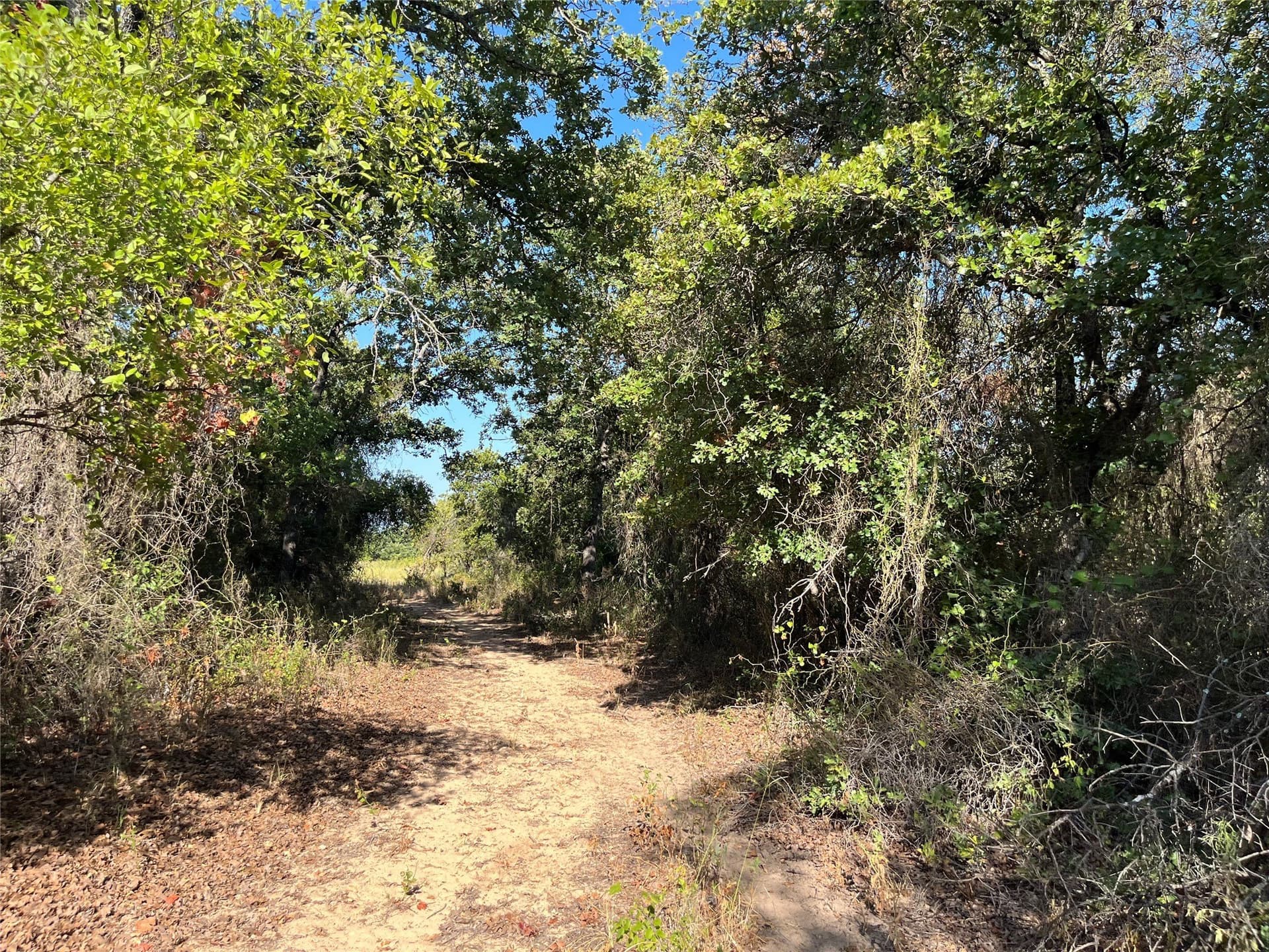 31.14 acres in Comanche County - photo 29