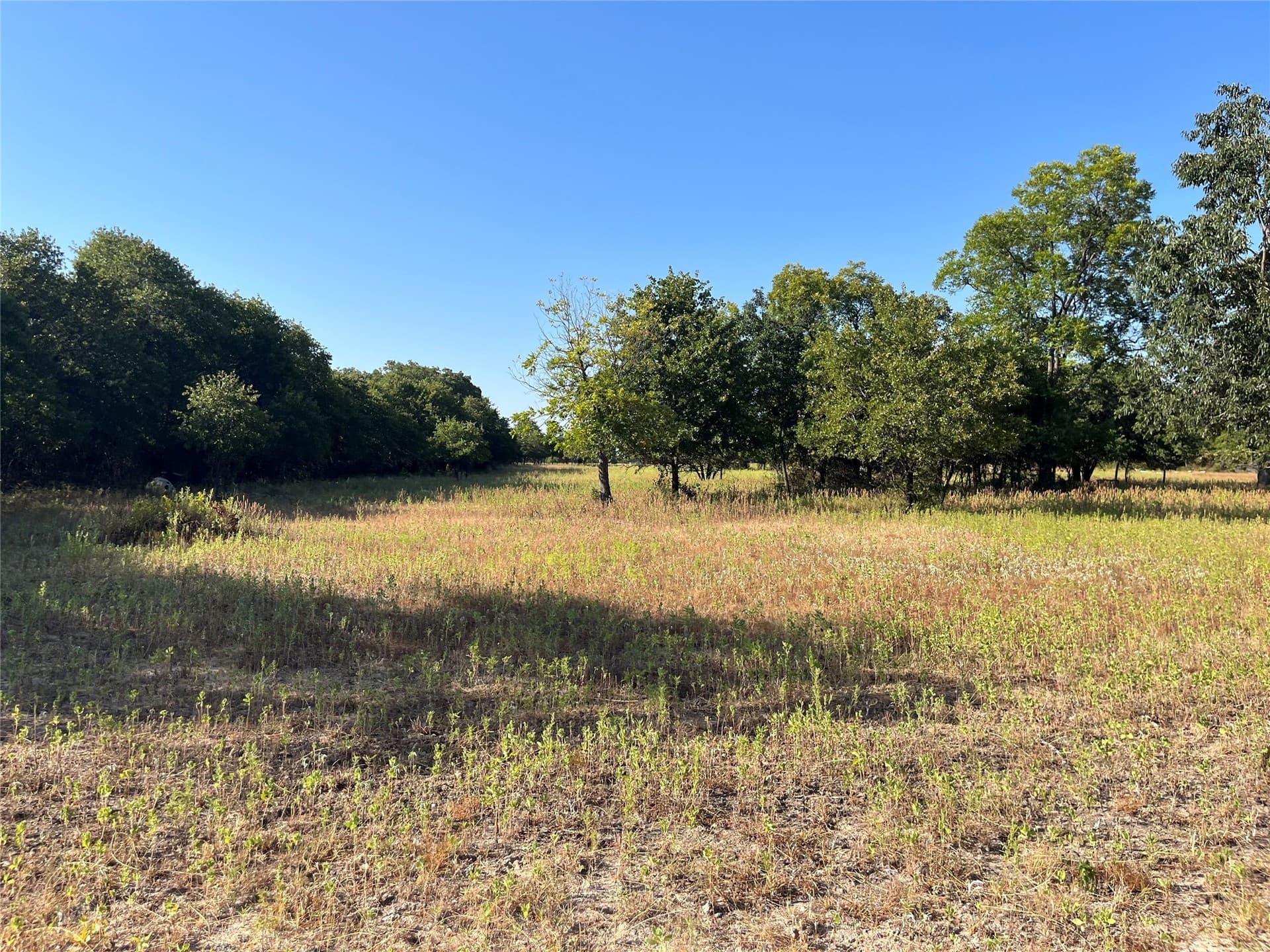 31.14 acres in Comanche County - photo 22