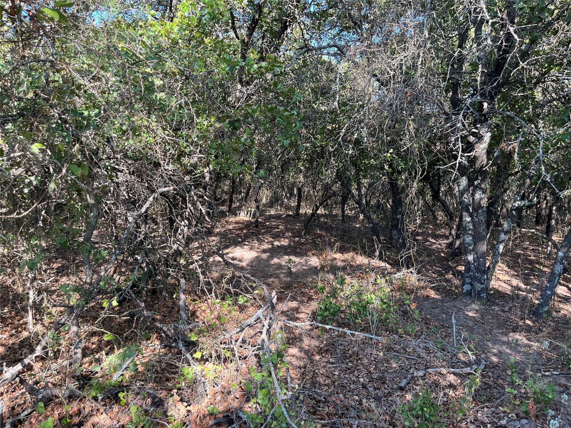 31.14 acres in Comanche County - photo 30