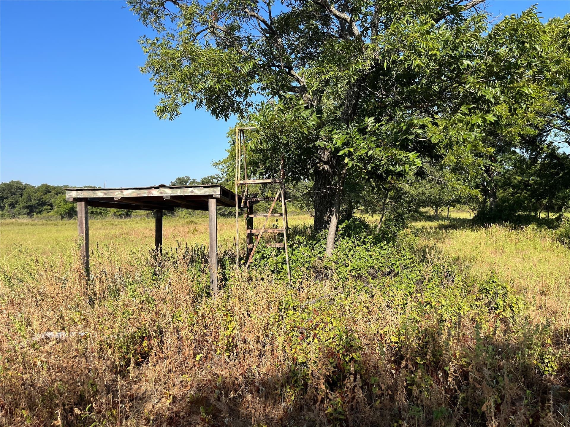 31.14 acres in Comanche County - photo 27