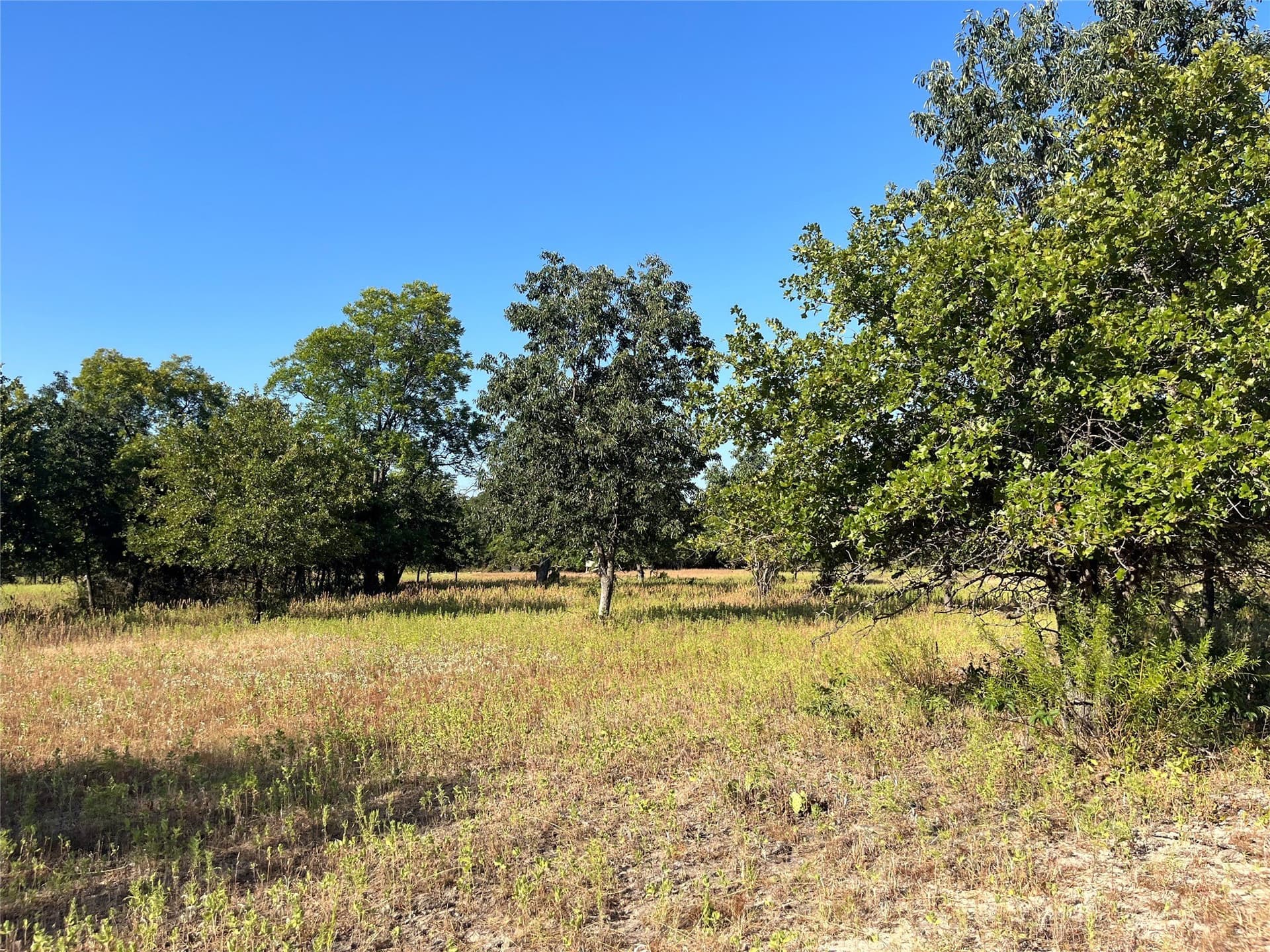 31.14 acres in Comanche County - photo 23