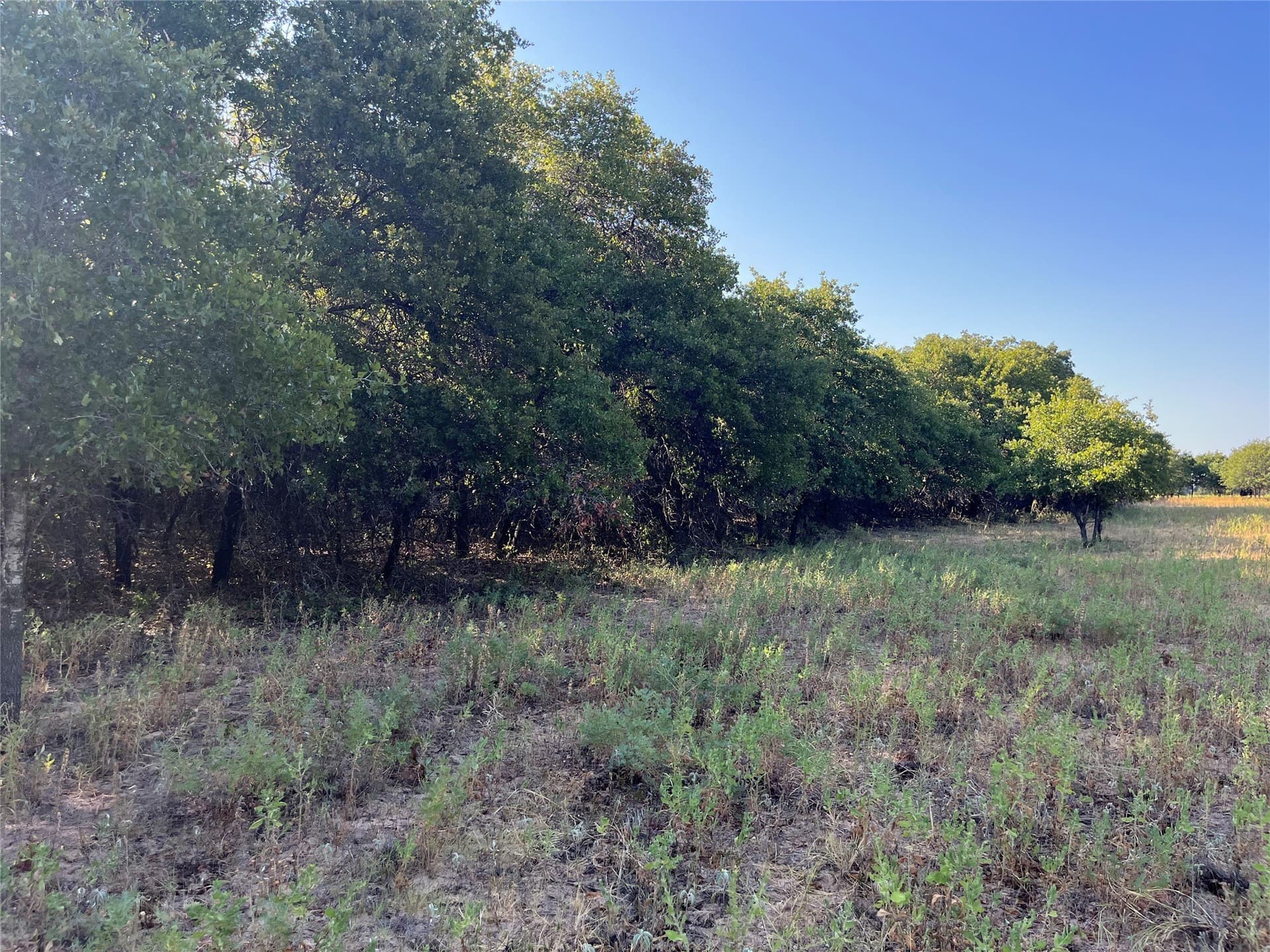 31.14 acres in Comanche County - photo 35