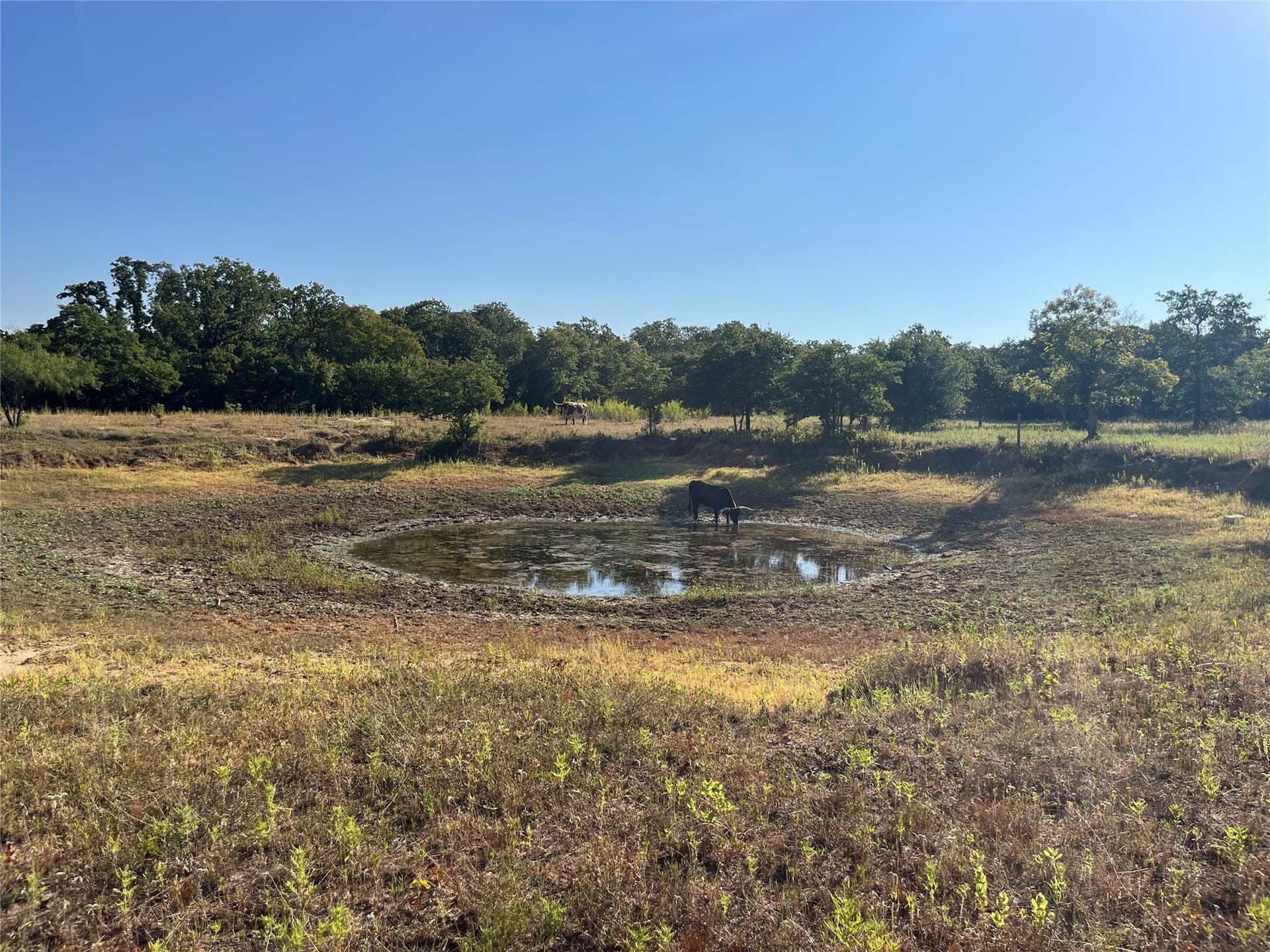 31.14 acres in Comanche County - photo 19
