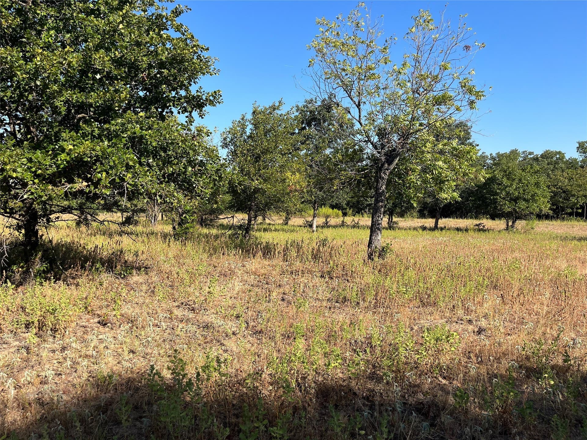 31.14 acres in Comanche County - photo 25