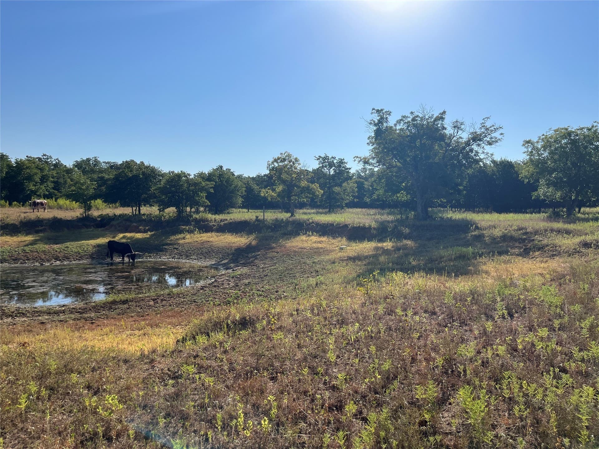 31.14 acres in Comanche County - photo 20