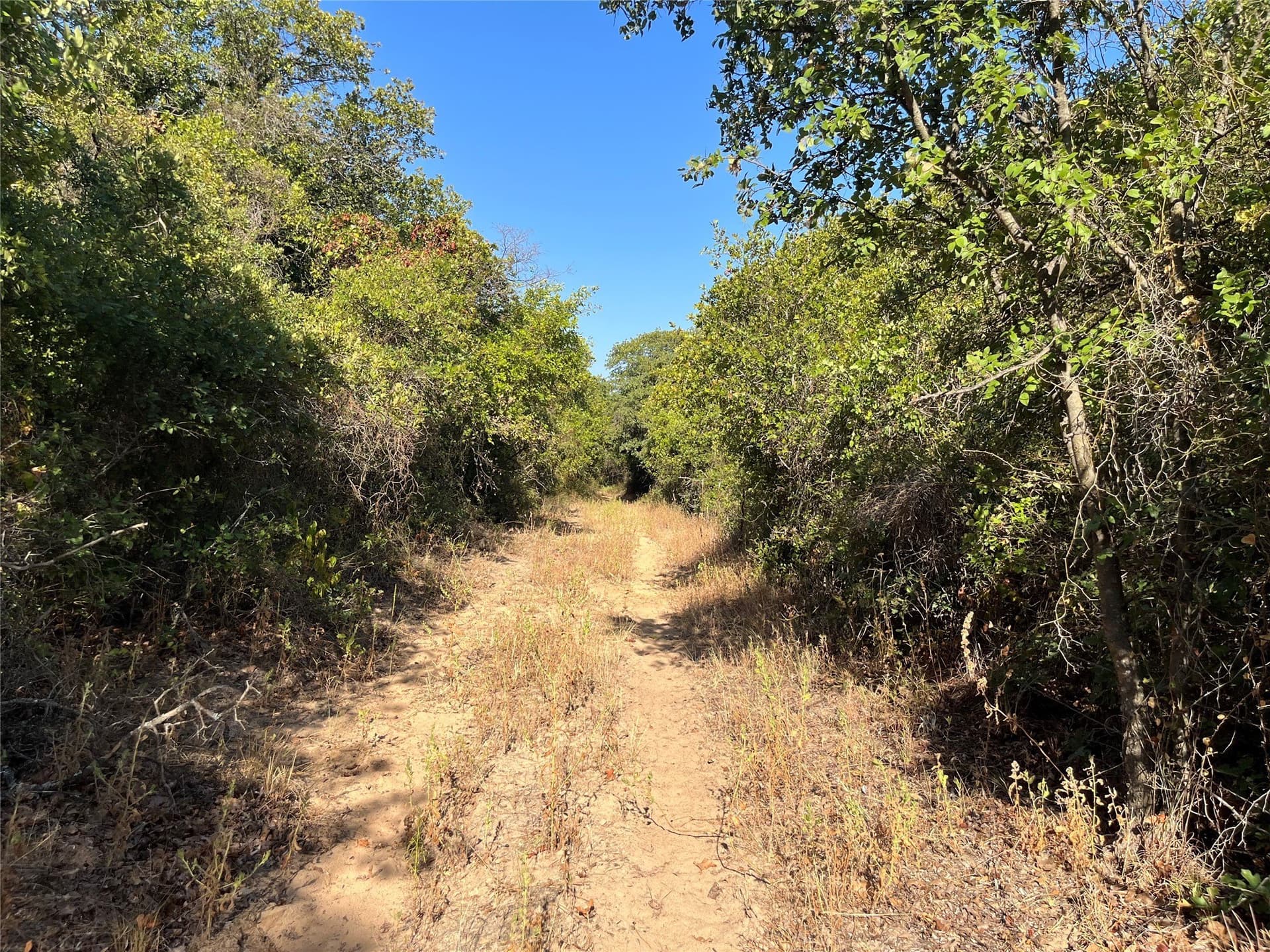 31.14 acres in Comanche County - photo 31
