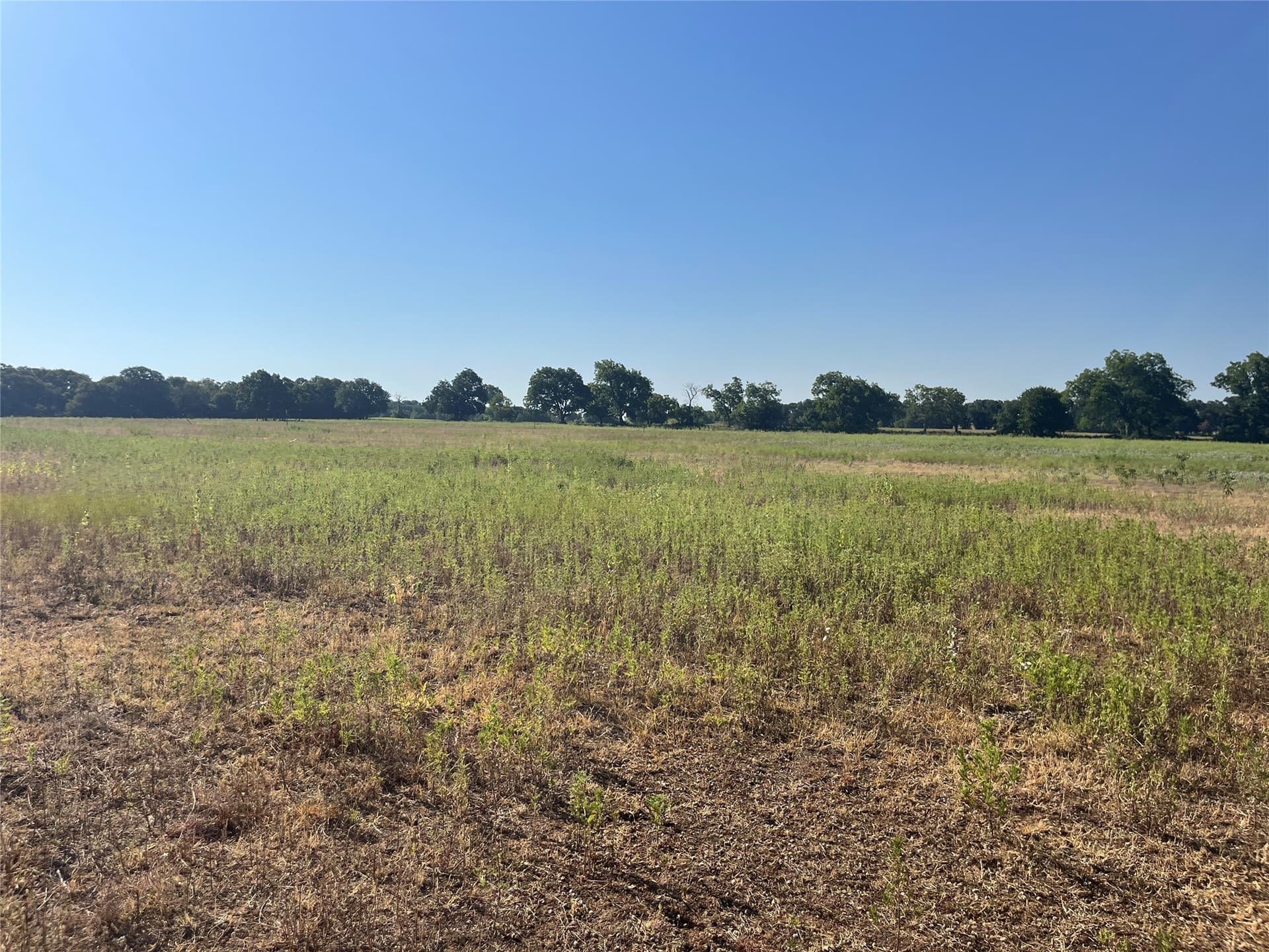 31.14 acres in Comanche County - photo 38