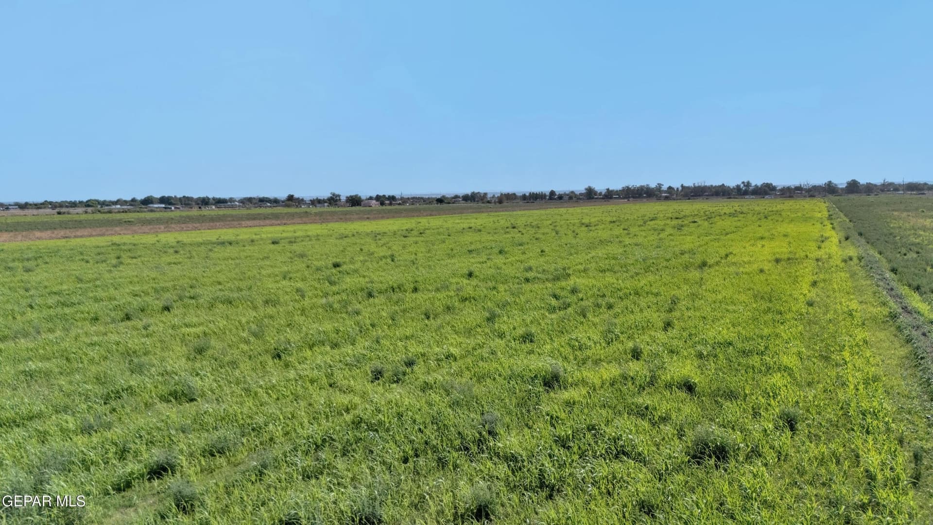 12.57 acres in El Paso County - photo 18