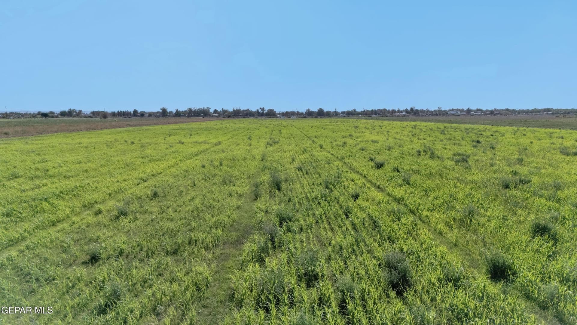 12.57 acres in El Paso County - photo 23