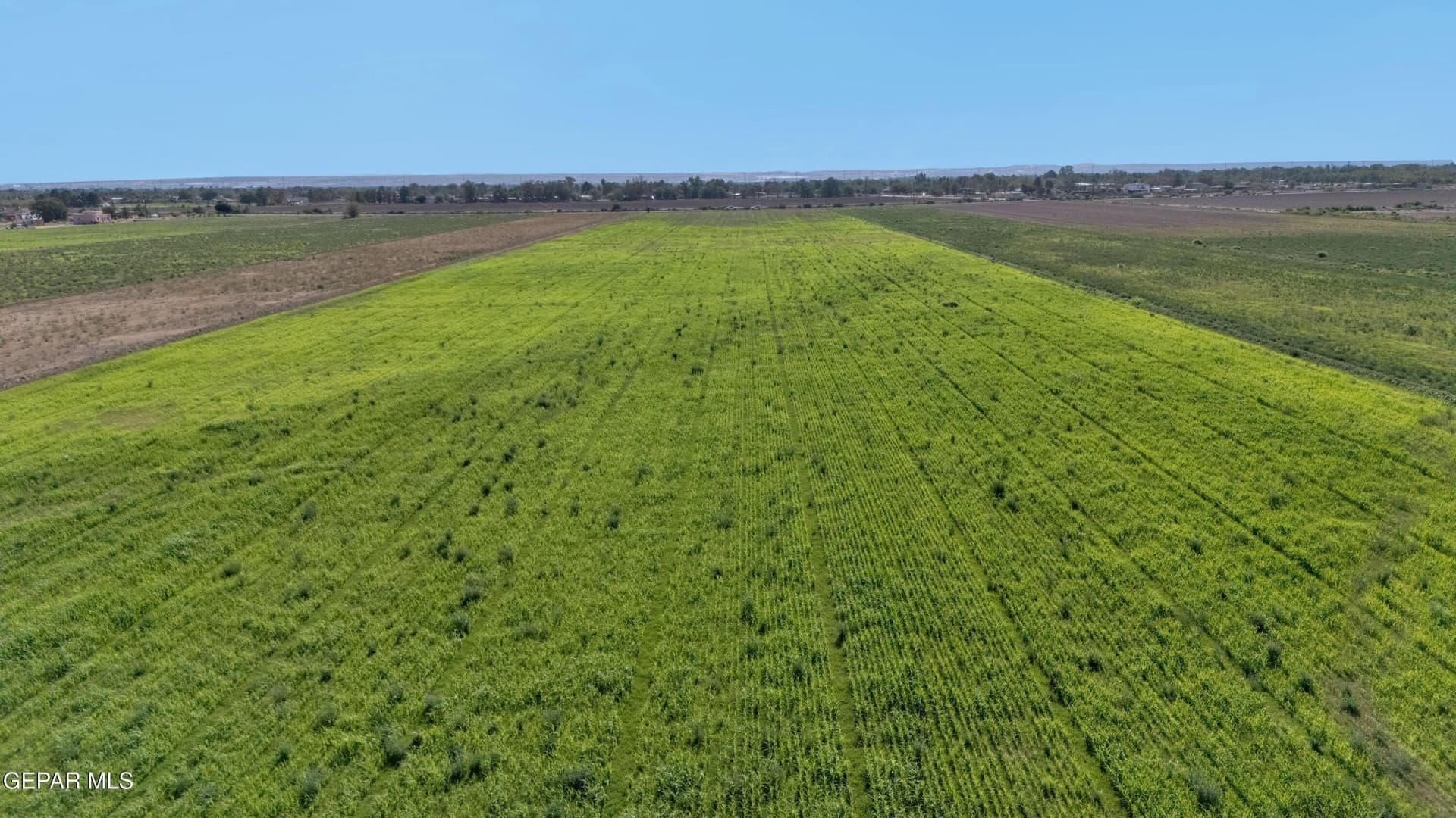 12.57 acres in El Paso County - photo 17
