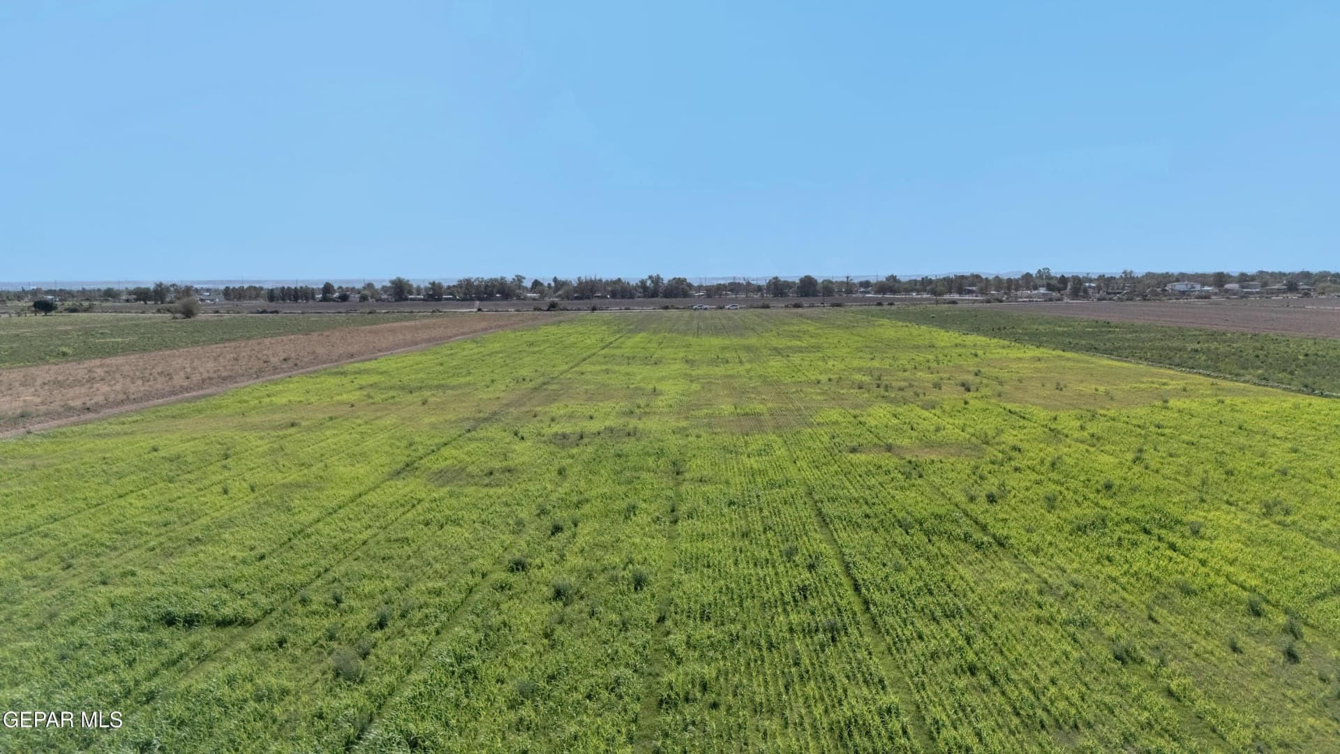 12.57 acres in El Paso County - photo 24