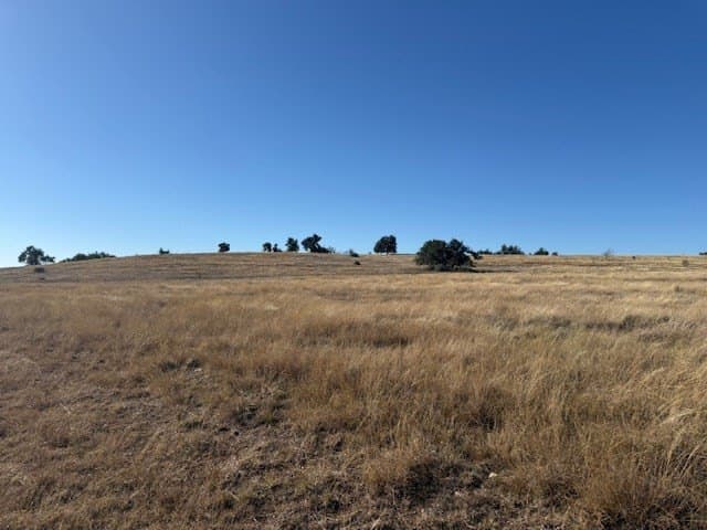 10.01 acres in Gillespie County - photo 8