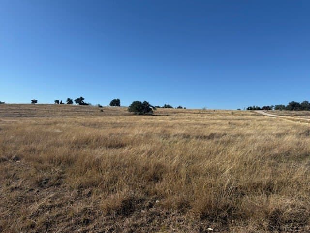 10.01 acres in Gillespie County - photo 6