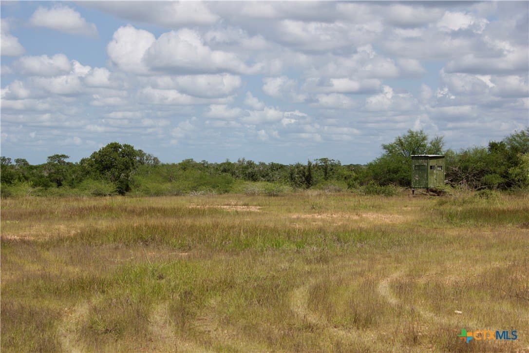 53.6 acres in DeWitt County - photo 33