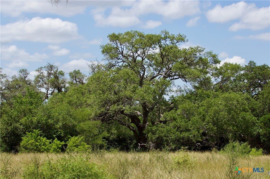 53.6 acres in DeWitt County - photo 7