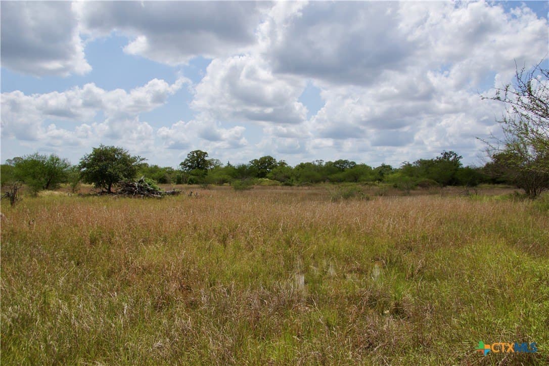 53.6 acres in DeWitt County - photo 23