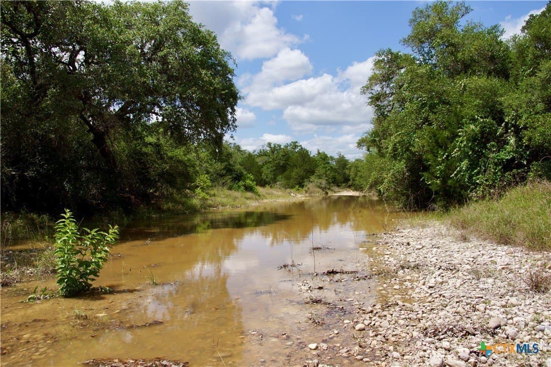 53.6 acres in DeWitt County - photo 16