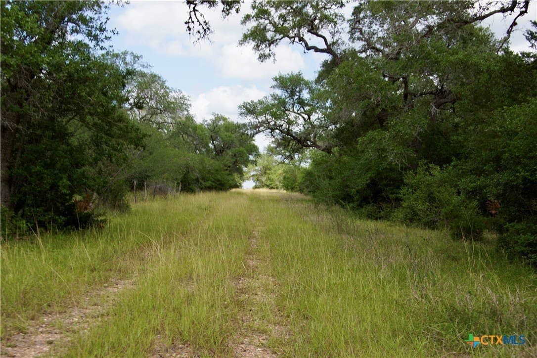 53.6 acres in DeWitt County - photo 24