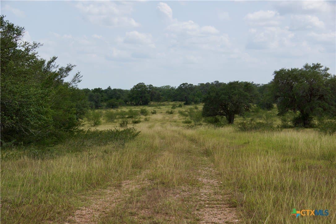 53.6 acres in DeWitt County - photo 35