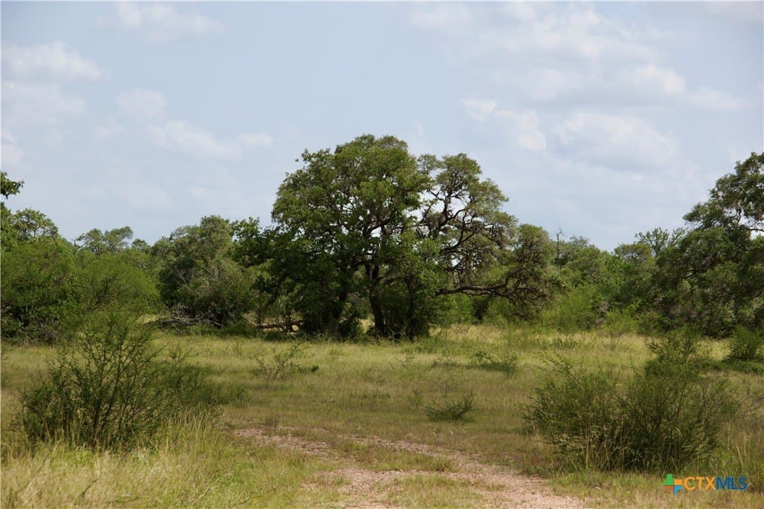 53.6 acres in DeWitt County - photo 38