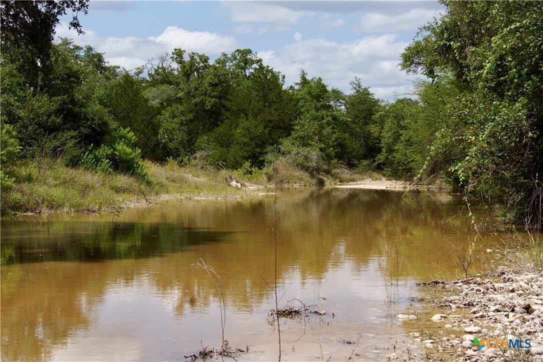 53.6 acres in DeWitt County - photo 17